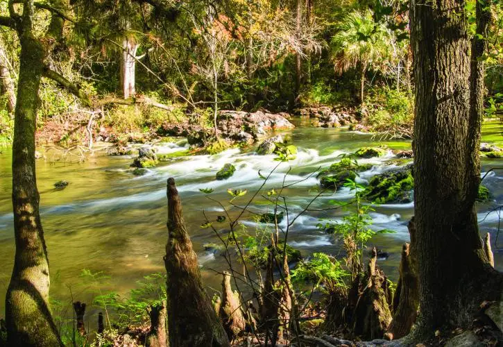 Nature Trails and Parks