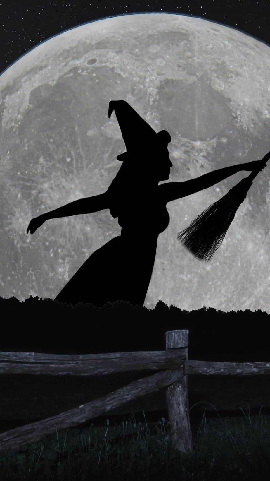 Halloween Wallpaper with the Full Moon