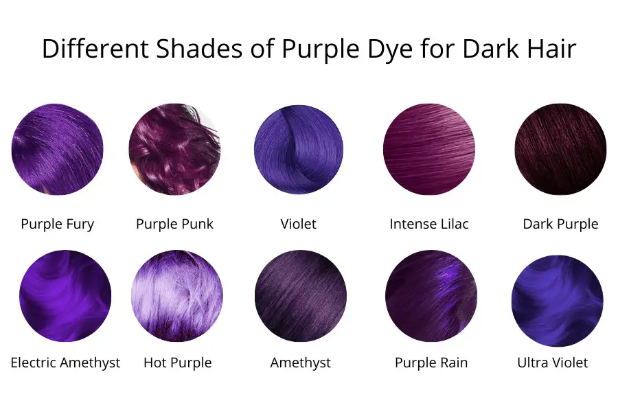 Which Shade of Purple You Should Choose