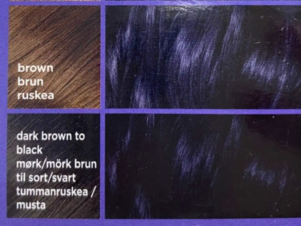 Best Blue Black Hair Dye – Permanent