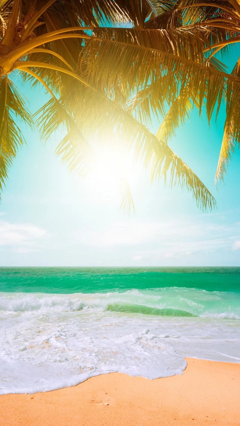 Tropical Beach Wallpaper