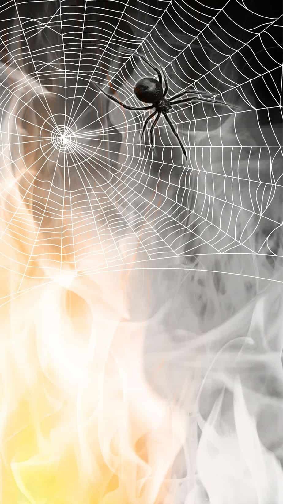 Wallpapers with Spider Webs