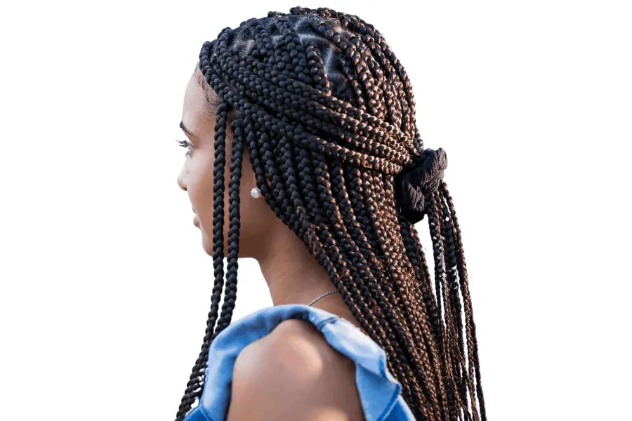 Box braids in 4b Hair Type