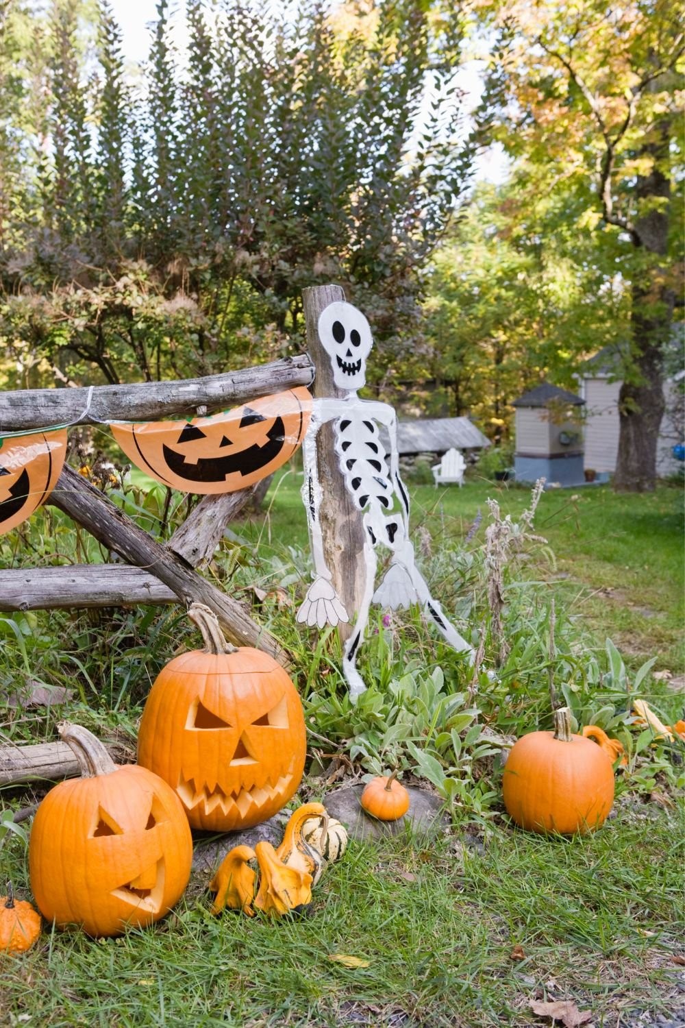 Skeleton and Carved Pumpkins