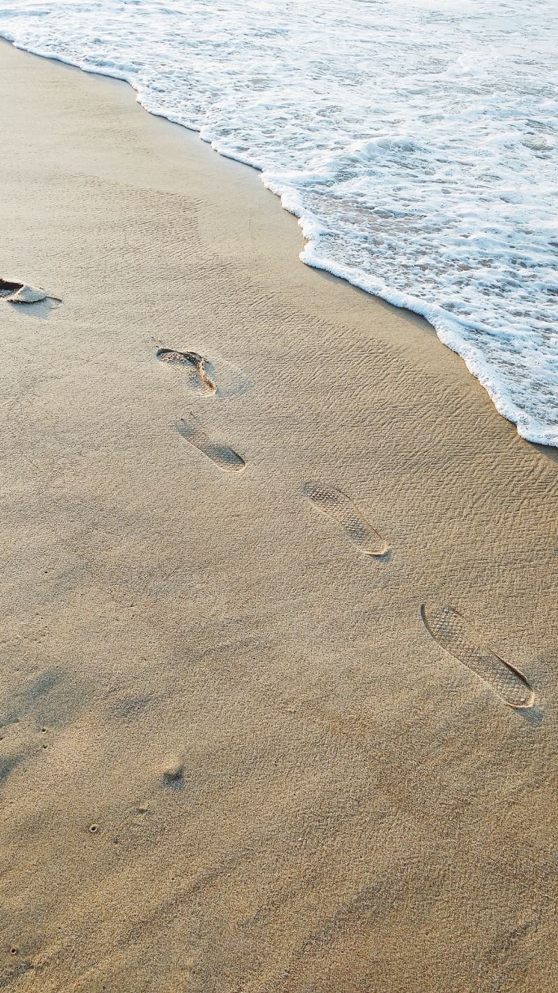 Tropical Beach Wallpaper