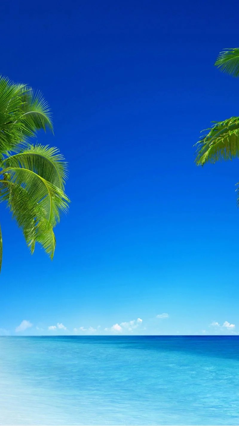 Tropical Beach Wallpaper